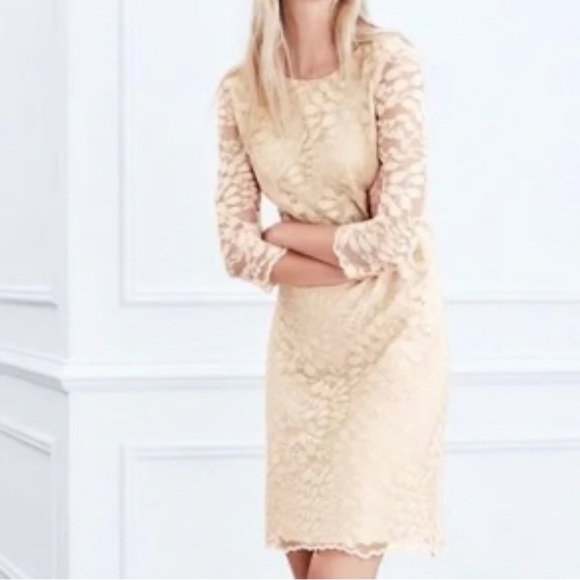 Garnet Hill Gold Sheath Dress 3/4 Sleeve Crew Neck - Picture 1 of 8